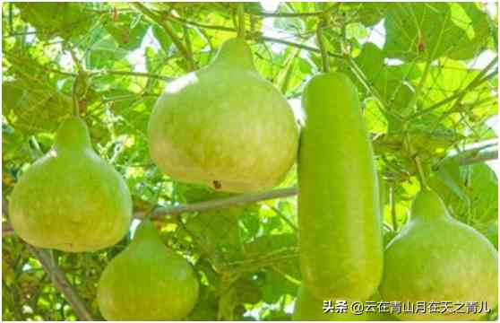 做會(huì)計(jì)的去賣(mài)化妝品怎么樣(到賣(mài)化妝品的店里做護(hù)膚好嗎)