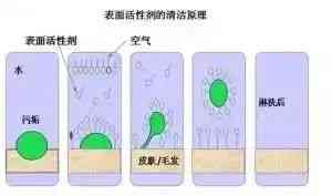 化妝品里有什么(化妝品里有什么成分不能用)插圖4