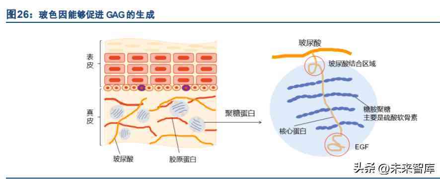 化妝品超聲波提取過程(化妝品提取技術)插圖5