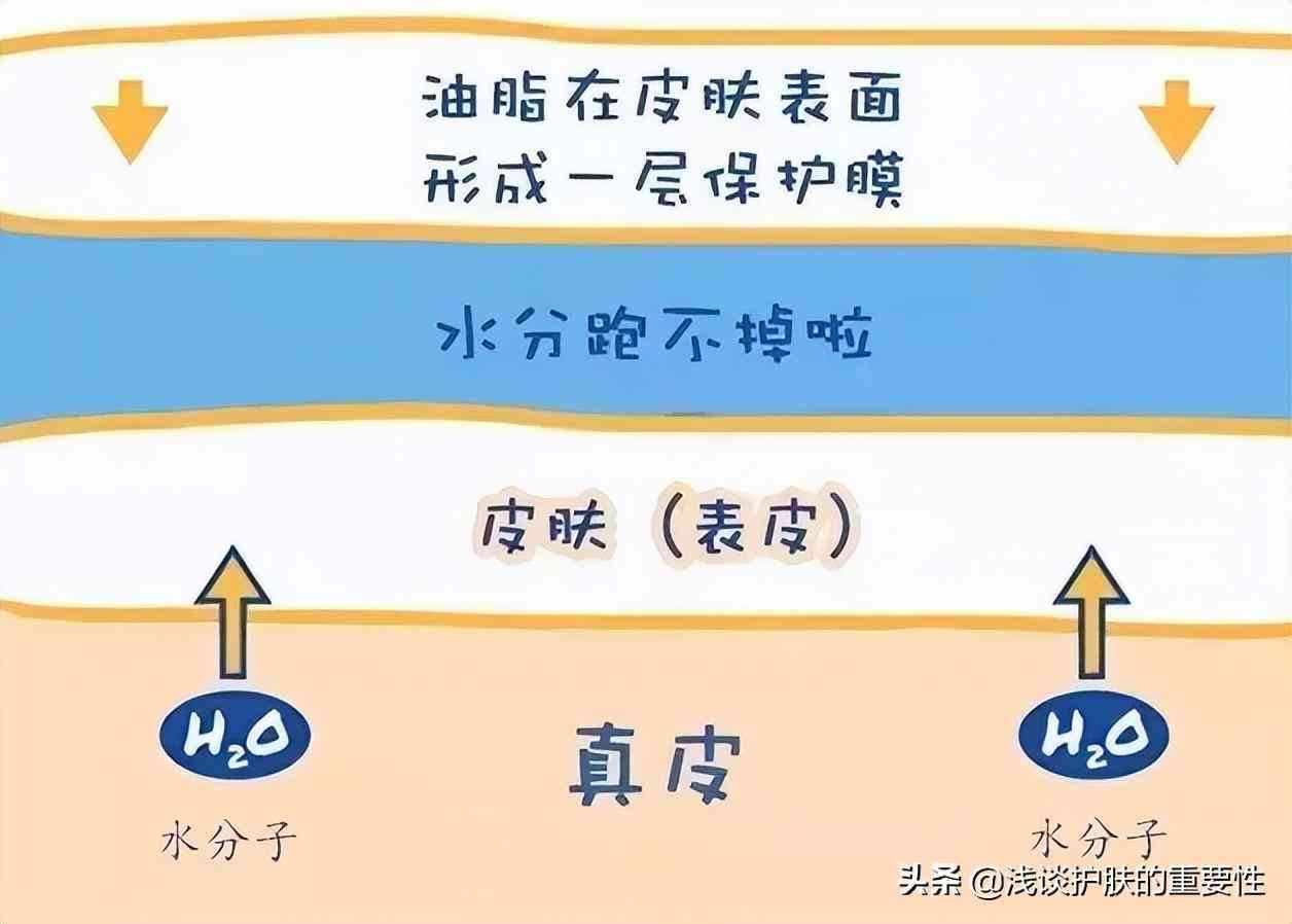 化妝品補(bǔ)水型和保濕型(化妝品補(bǔ)水和保濕的區(qū)別)