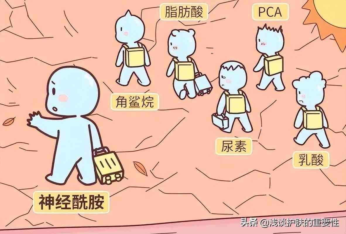 化妝品補水型和保濕型(化妝品補水和保濕的區別)插圖1