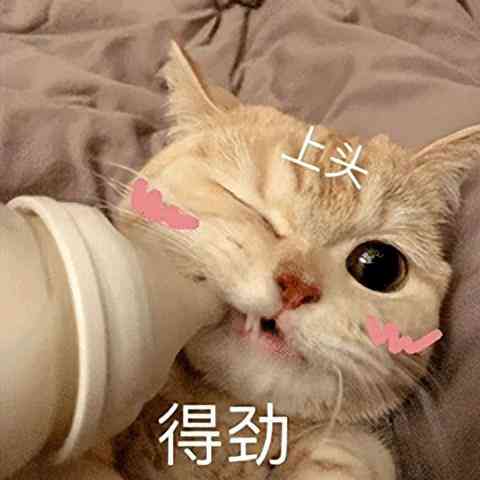便宜的女孩化妝品店鋪在哪(便宜的女孩化妝品店鋪在哪找)插圖1