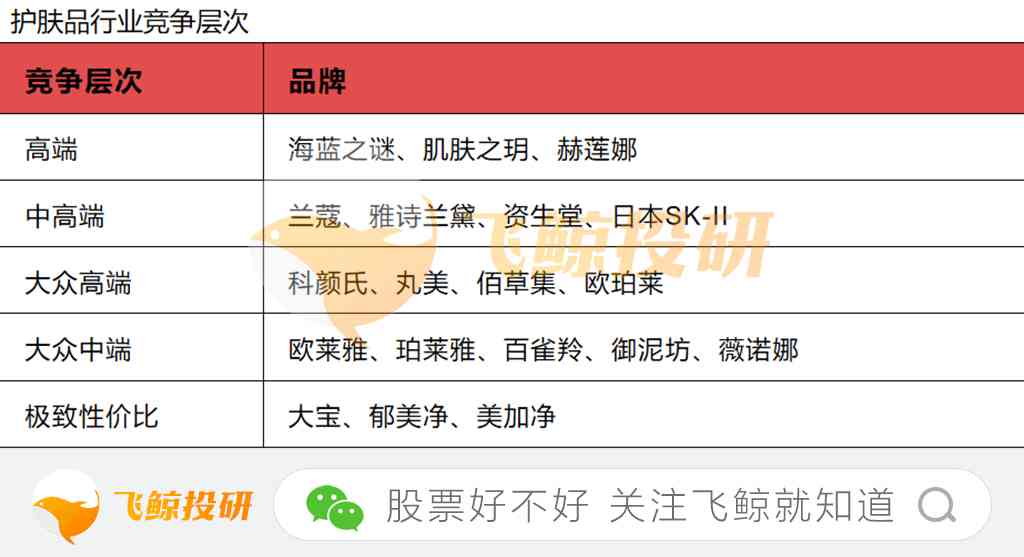 化妝品有多少個大品牌(化妝品有些什么大品牌)插圖5