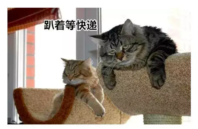 貴重物品化妝品快遞暴力(化妝品發(fā)什么快遞安全)插圖4