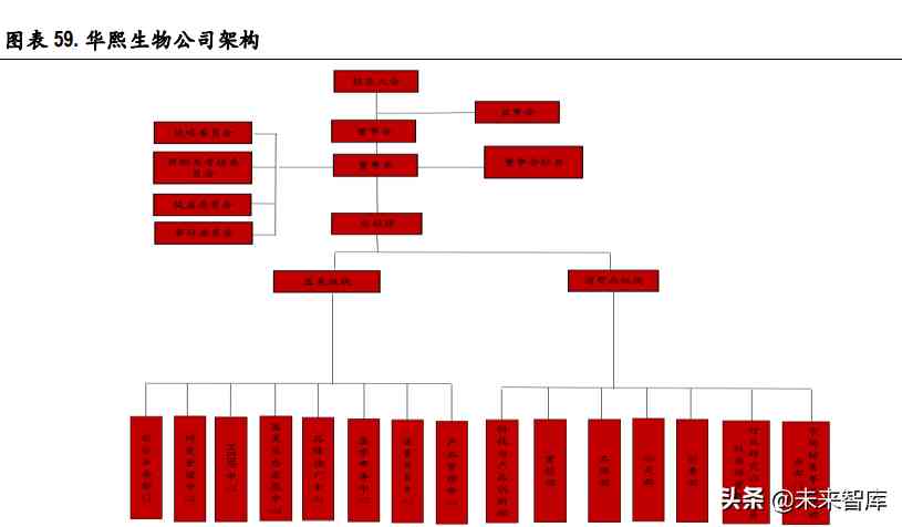 化妝品制造前景(化妝品行業的未來前景怎么樣)插圖16