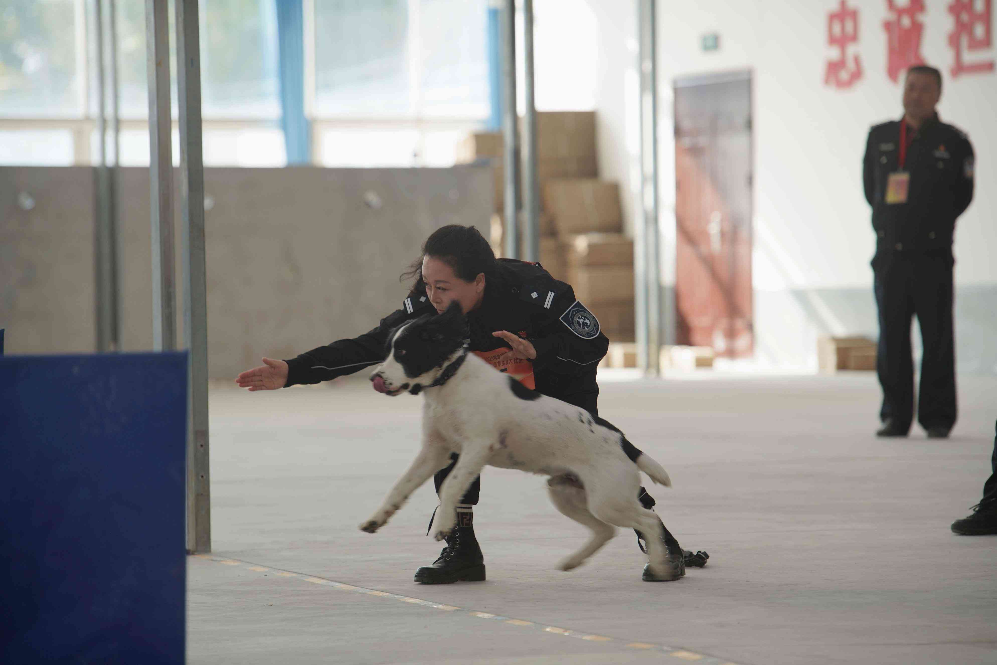 化妝品對(duì)警犬嗅覺有干擾嘛(什么東西能影響犬的嗅覺)插圖4