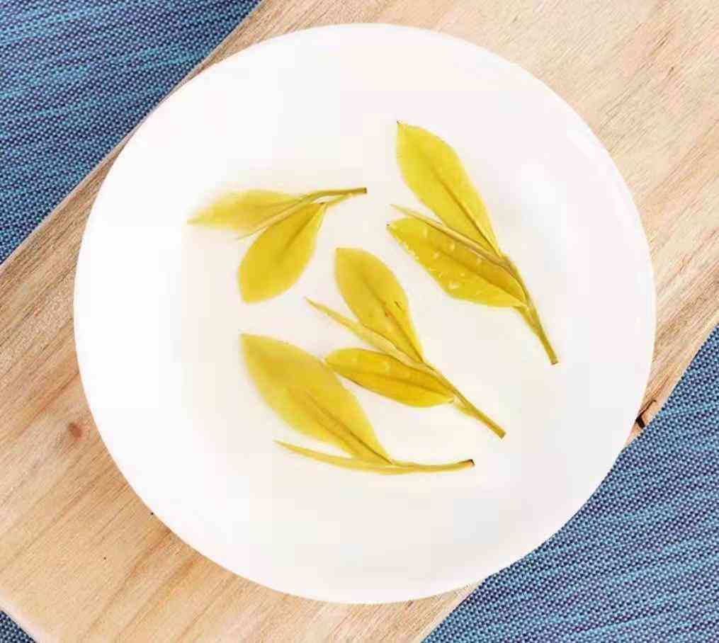 黃金芽茶葉價格一般在多少插圖2