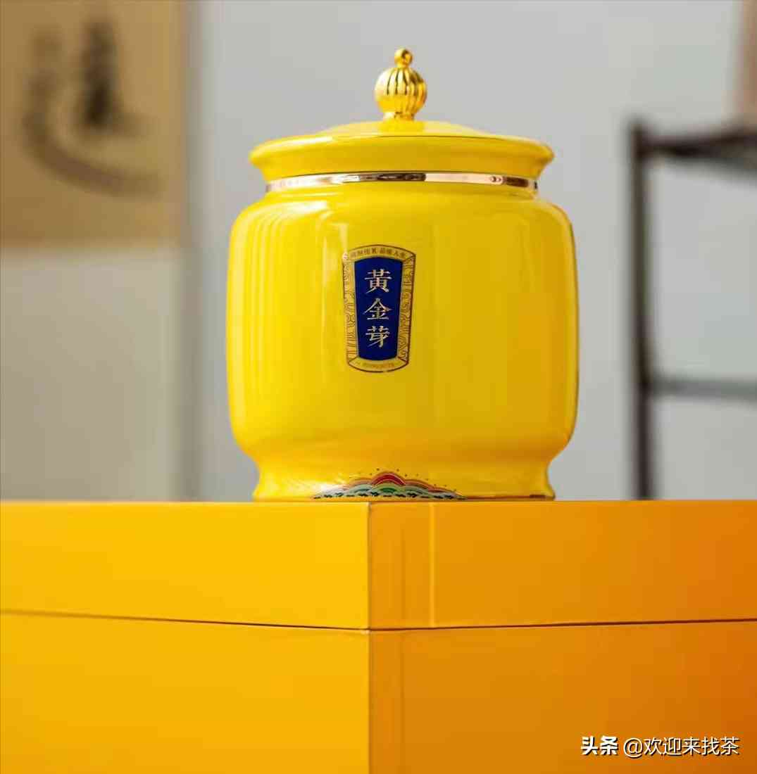黃金芽茶葉價格一般在多少插圖4