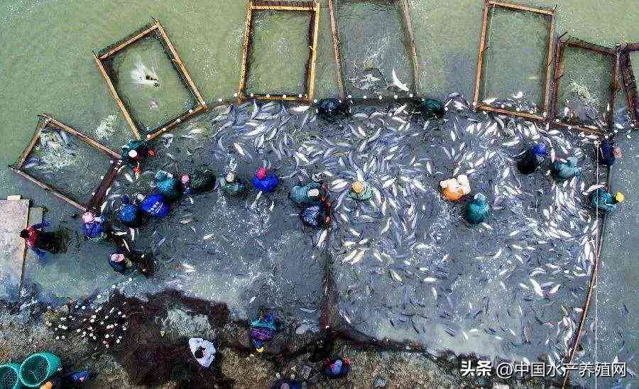 吳江地區回收黃金價格今日(吳江地區回收黃金價格今日表)插圖2