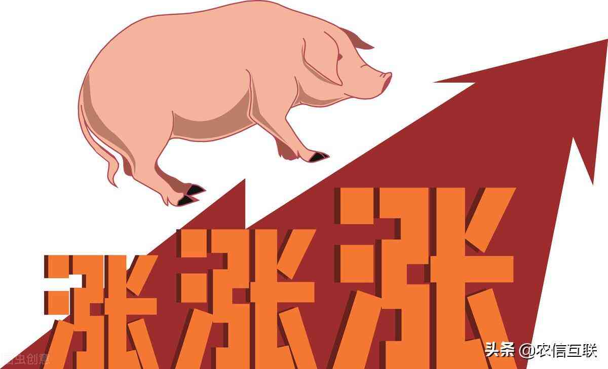 今日豬價黃金價格表(今日豬價黃金價格表查詢)插圖2