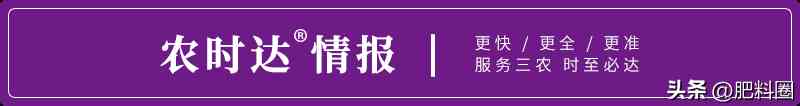 河南周口今日金價多少(河南周口今日金價多少錢一克)
