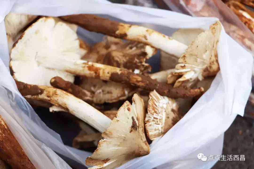 西昌金價今日多少一克(西昌金價今日多少一克啊)
