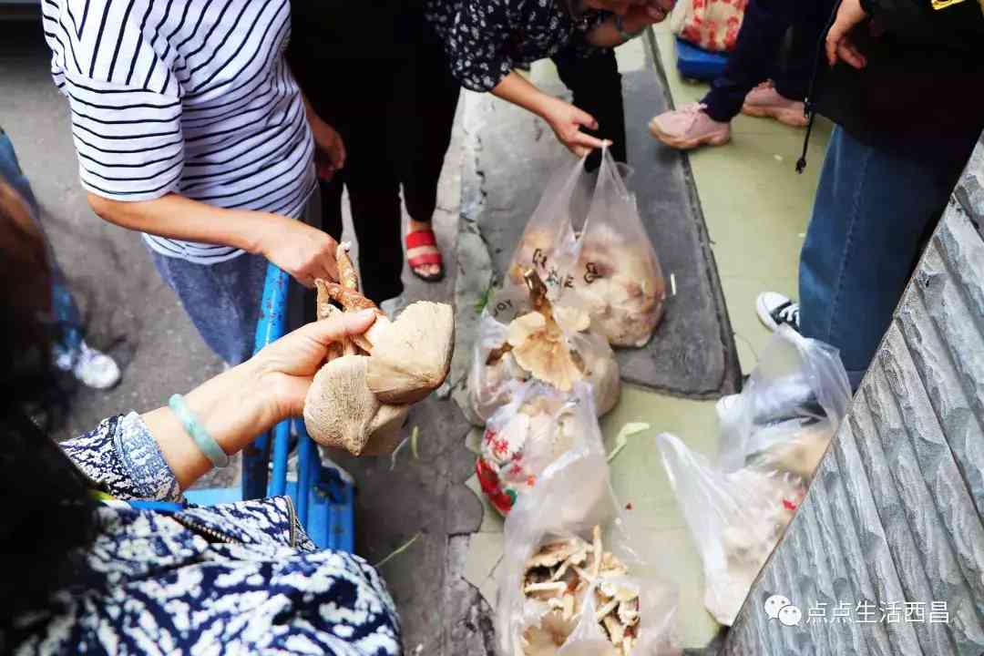 西昌金價今日多少一克(西昌金價今日多少一克啊)插圖8