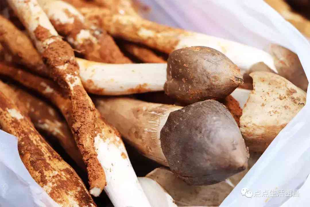 西昌金價今日多少一克(西昌金價今日多少一克啊)插圖17