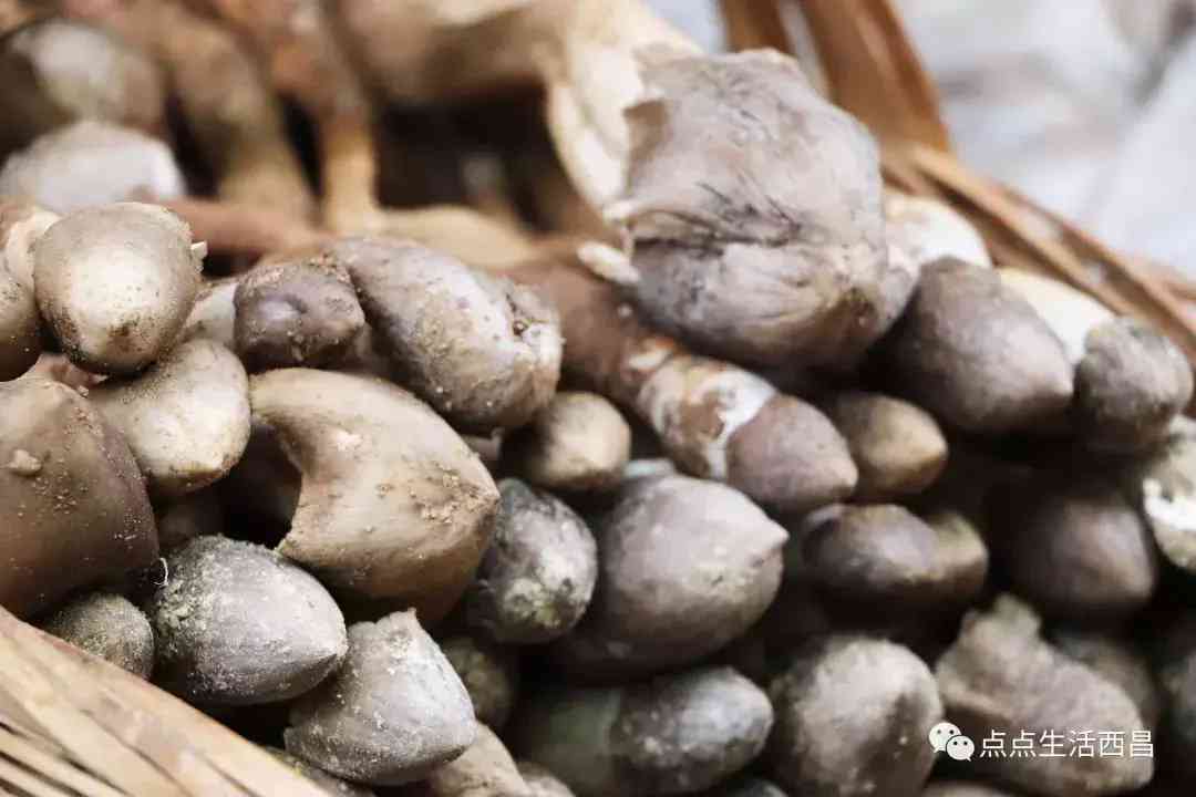 西昌金價今日多少一克(西昌金價今日多少一克啊)插圖24