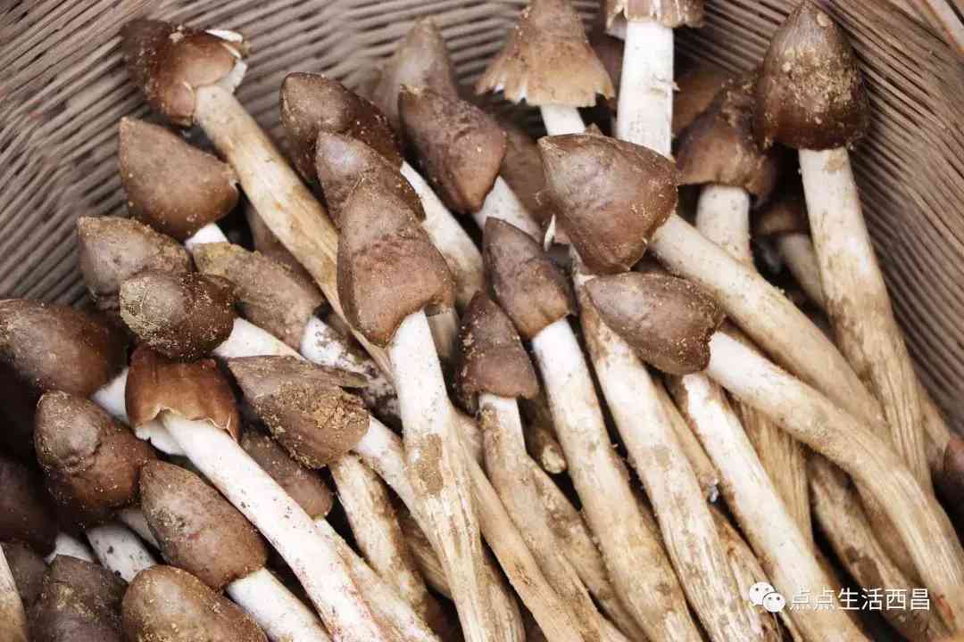 西昌金價今日多少一克(西昌金價今日多少一克啊)插圖26