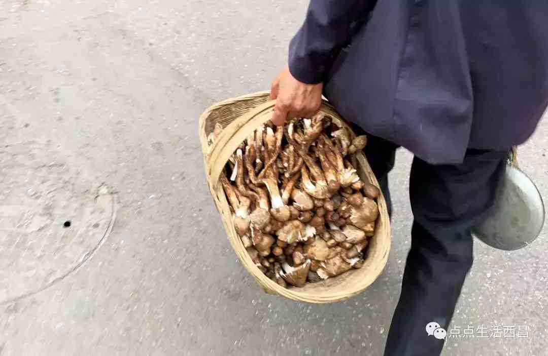 西昌金價今日多少一克(西昌金價今日多少一克啊)插圖28