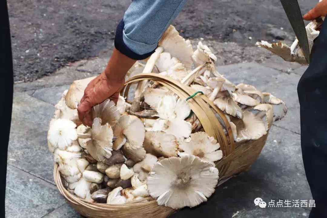 西昌金價今日多少一克(西昌金價今日多少一克啊)插圖36