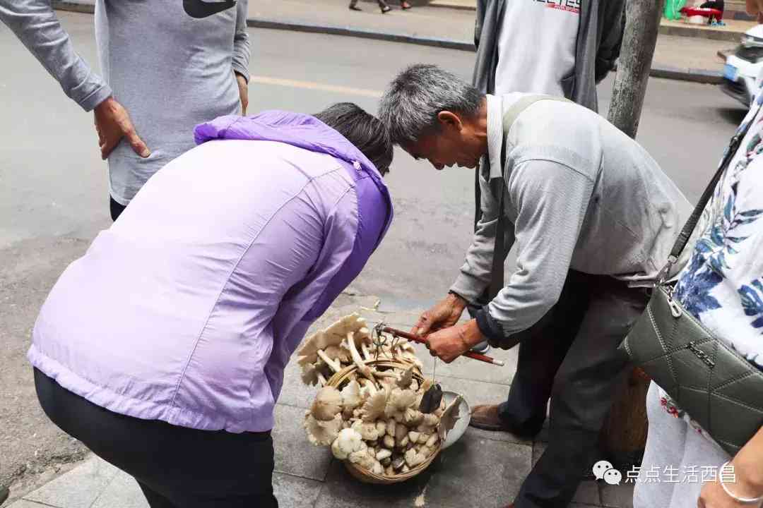 西昌金價今日多少一克(西昌金價今日多少一克啊)插圖38