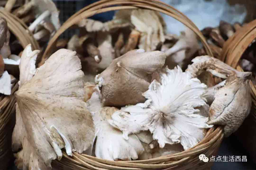 西昌金價今日多少一克(西昌金價今日多少一克啊)插圖39