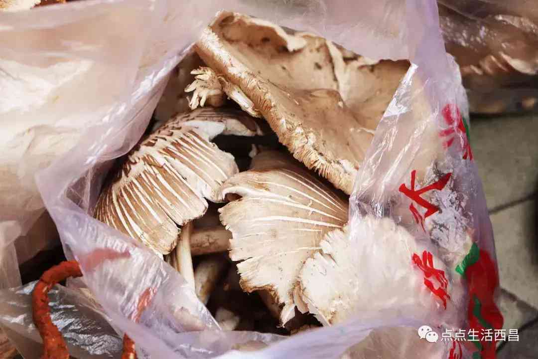 西昌金價今日多少一克(西昌金價今日多少一克啊)插圖41