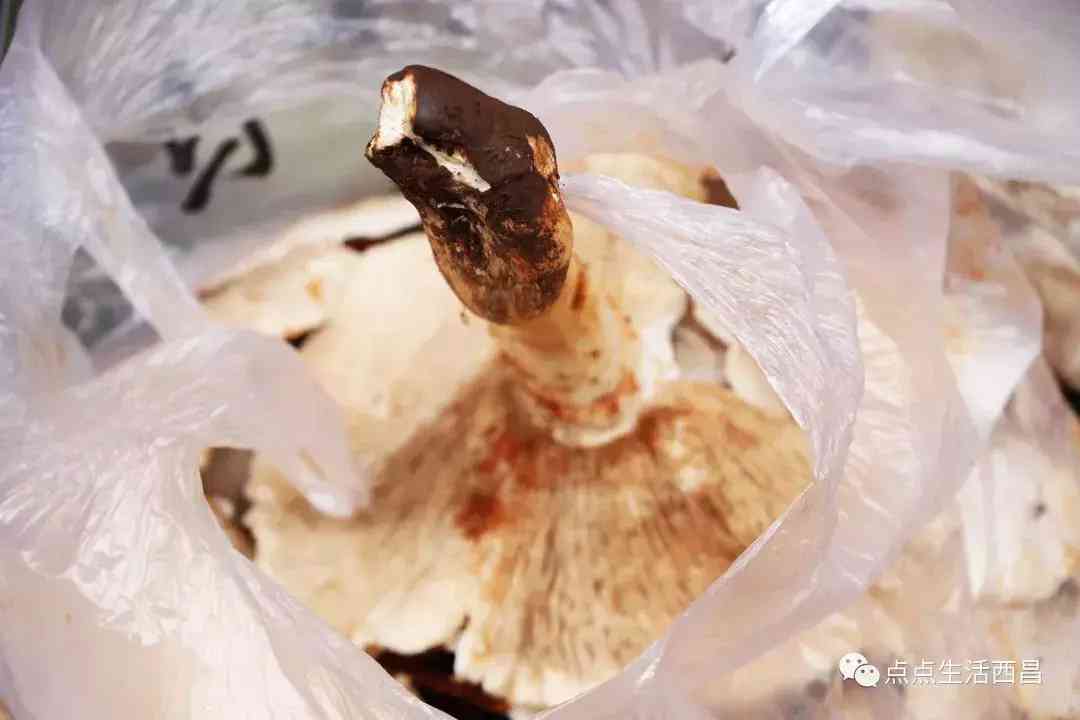 西昌金價今日多少一克(西昌金價今日多少一克啊)插圖42