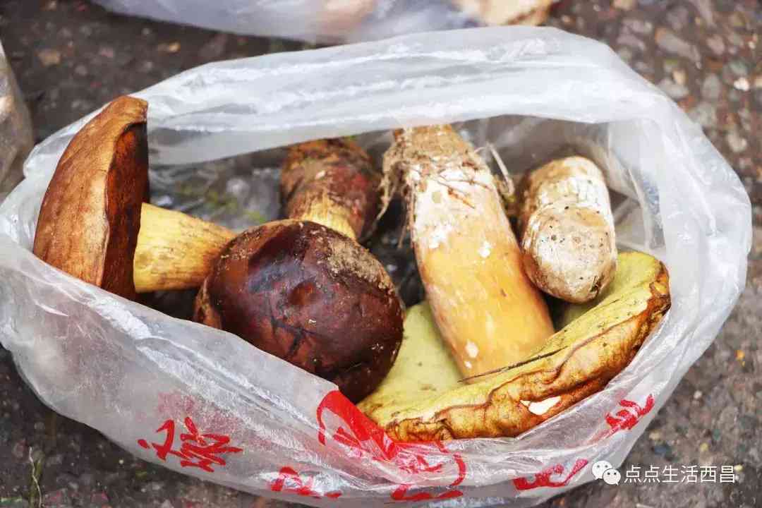 西昌金價今日多少一克(西昌金價今日多少一克啊)插圖48