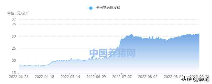 今日84金價趨勢(八今日金價)插圖6