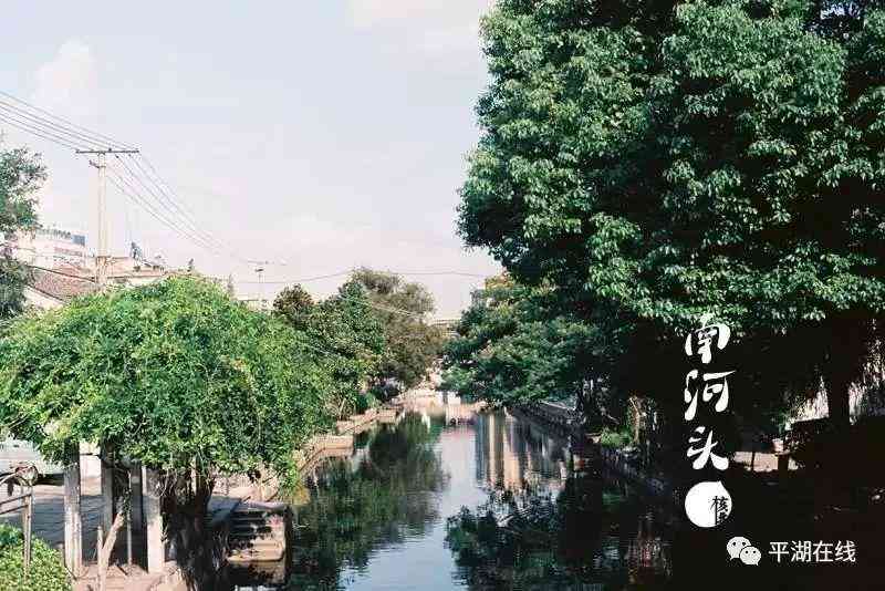 平湖黃金價格今日查詢表(平湖黃金價格今日查詢表)插圖8
