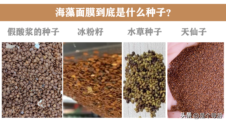 海藻巨補水化妝品好么(海藻化妝品的功效與作用)