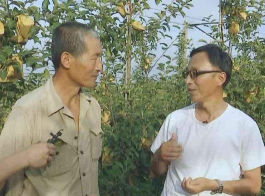 化妝品果本五件套(化妝品果本是哪里的產地)