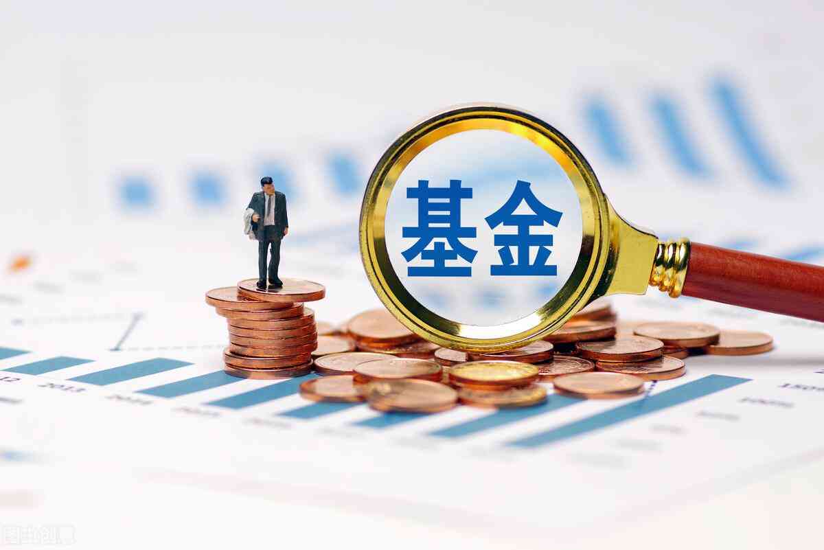 金融界今日基金價(金融界今日基金價格表)