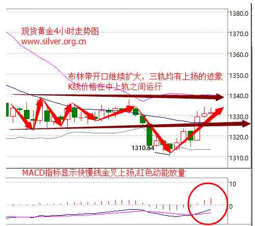 今日金價多少一克8月27(今日金價多少一克8月27日價格)