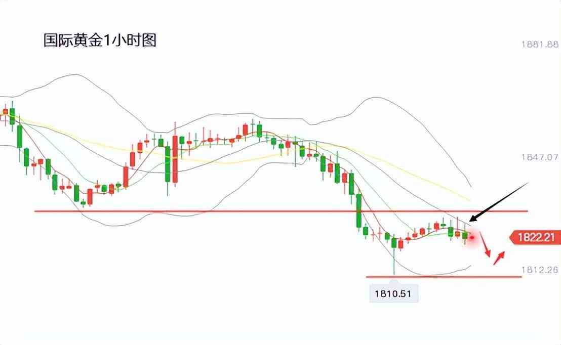 厄瓜多爾黃金價格今日行情(厄瓜多爾黃金價格今日行情走勢圖)