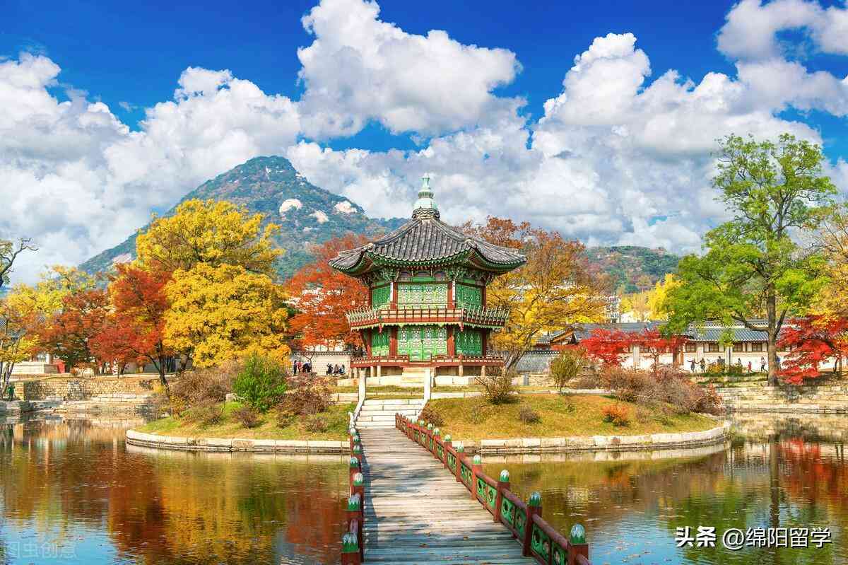 韓國釜山化妝品協會怎么樣(釜山國際市場(??????))