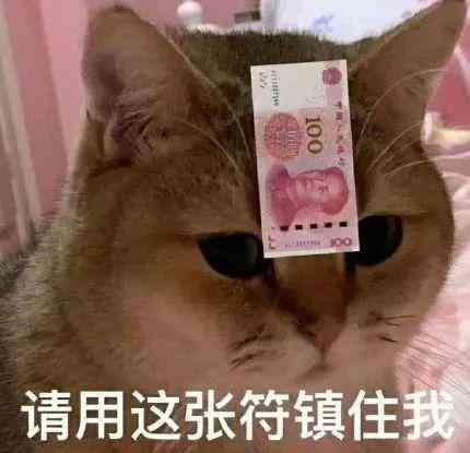為什么要買牌子的化妝品(為什么要購買化妝品)