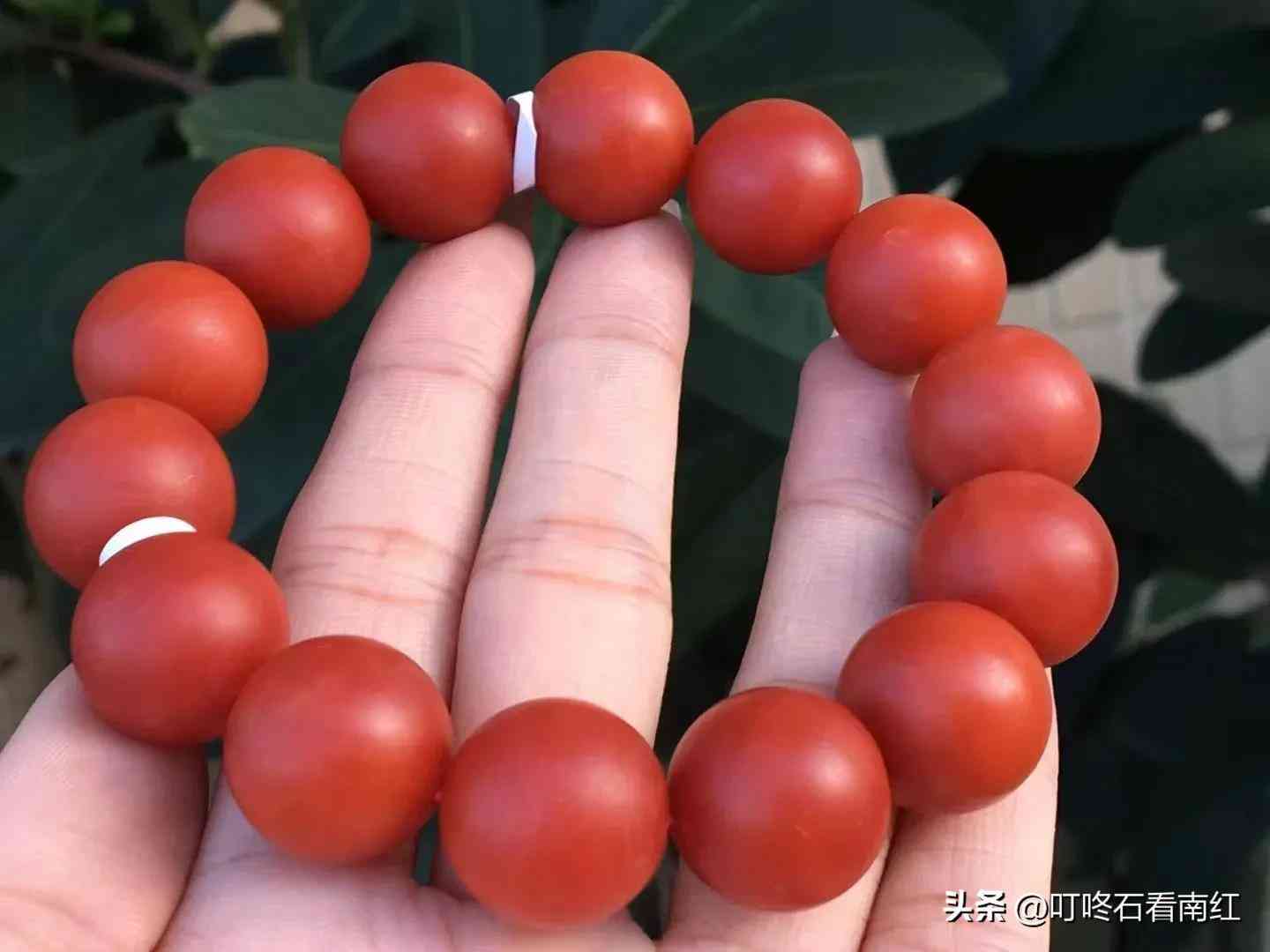 戰(zhàn)國紅和南紅的區(qū)別(戰(zhàn)國紅和南紅哪個價格高)