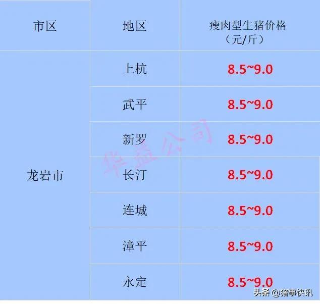 福建省的今日金價(福建黃金今日價格多少一克)