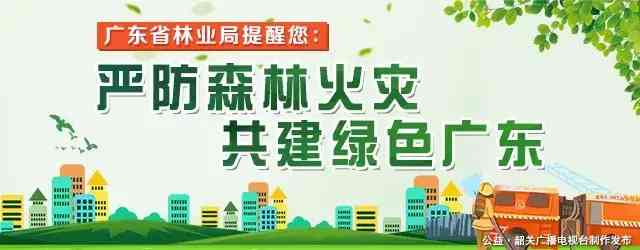 南雄今日金價(南充今日金價)