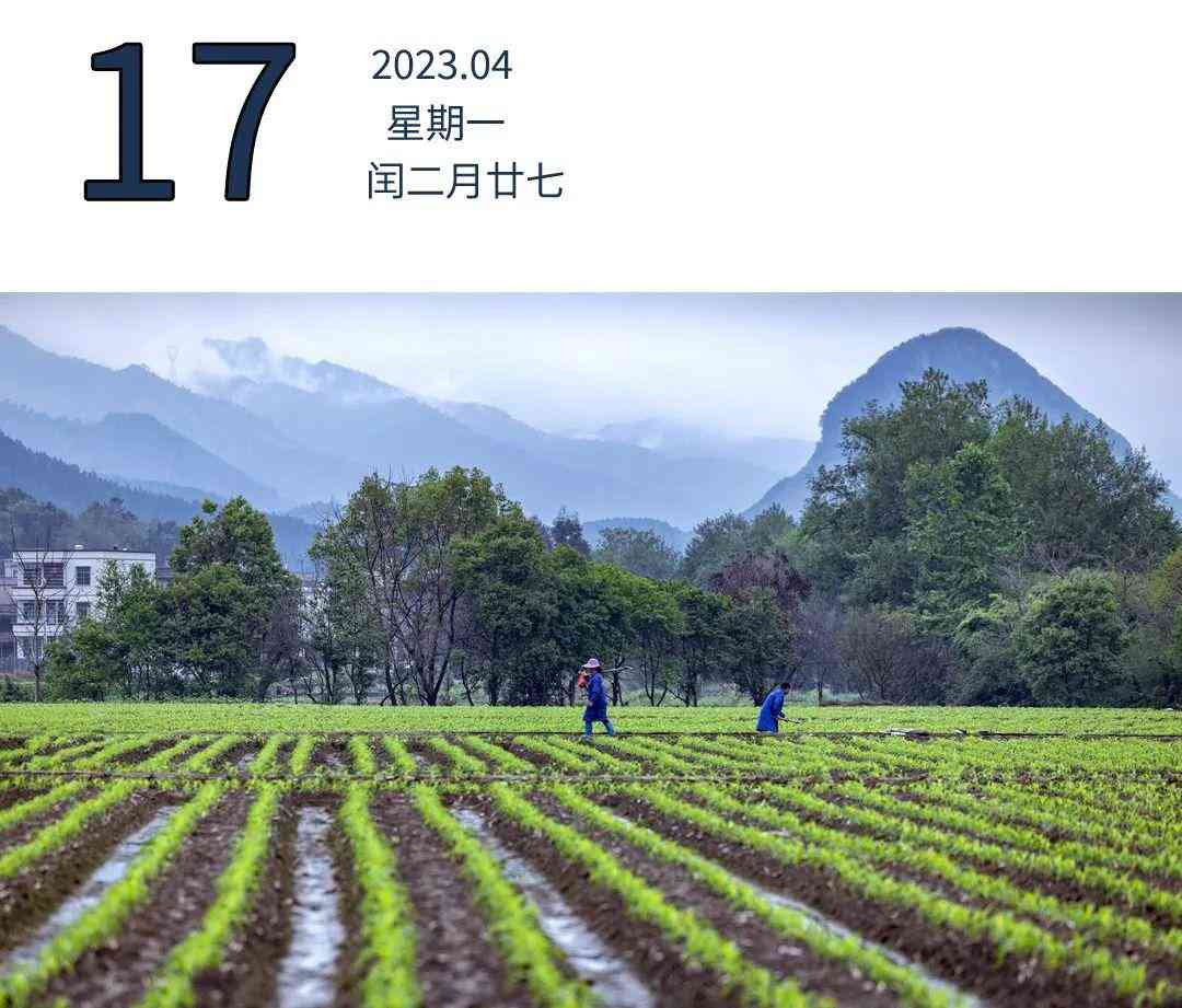 廣東2023年今日金價(廣東今日金價查詢結(jié)果)