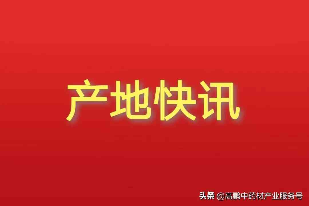 安徽省太和縣今日金價查詢(太和黃金回收價格)