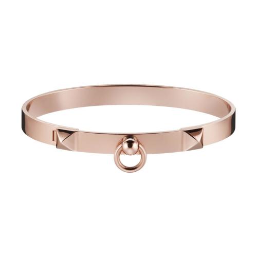  HERMES愛馬仕 22年秋冬 女士 手鐲 Bracelet Collier de chien， petit modele H214435B 00ST
