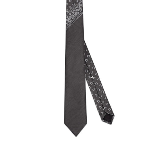 DIOR/迪奧 22年早春新款 男士灰色桑蠶絲飾巾圖案領帶28C1047A0636_C888