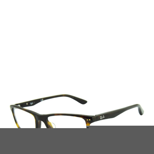 Ray-Ban/雷朋 光學復古 經典 男女框 板材 全框 時尚 休閑 眼鏡架 RB5288F 52mm Ray-Ban雷朋