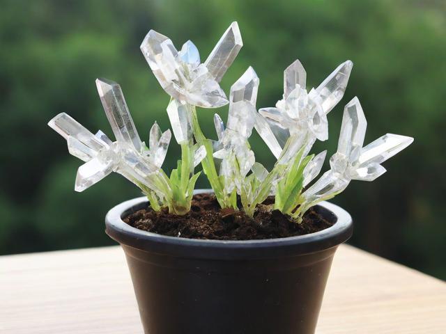 為什么能種出水晶來？水晶種植的原理與方法詳解