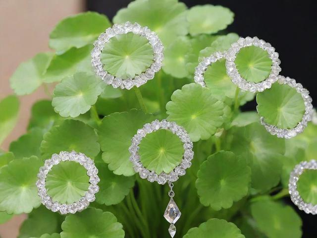 水晶草為什么叫水晶？探究水晶草的由來和特點
